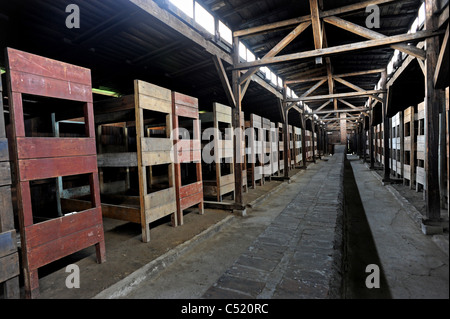 II di Auschwitz Birkenau ex campo di concentramento e ora un museo di stato - In legno di cuccette per i prigionieri all'interno di una capanna conservati Foto Stock