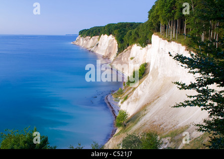 Chalk scogliere a sunrise nel Jasmund National Park, Ruegen Isola, Meclemburgo-Pomerania Occidentale, Germania, Europa Foto Stock