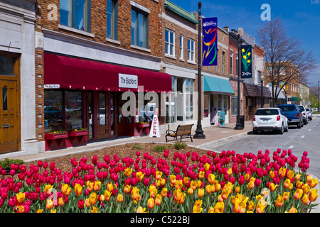 Negozi e magazzini con rigogliosi tulip letti in Olanda, Michigan, Stati Uniti d'America. Foto Stock