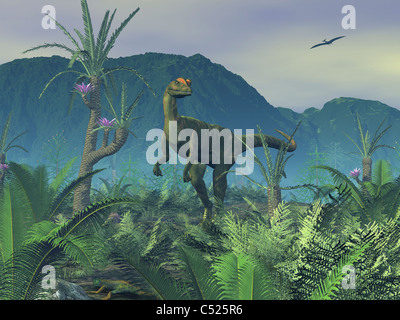 Un colorato maschio adulto Dilophosaurus esplora una collina. Foto Stock