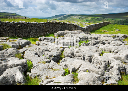 Pavimentazione in calcare a cappella-le-Dale, Yorkshire Dales, UK. Foto Stock