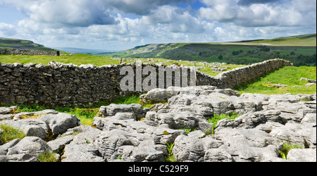 Pavimentazione in calcare a cappella-le-Dale, Yorkshire Dales, UK. Foto Stock