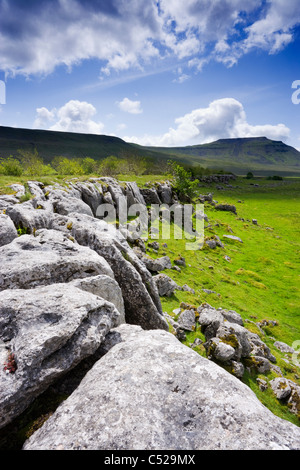 Pavimentazione in calcare a cappella-le-Dale, Ingleborough oltre, North Yorkshire, Regno Unito. Foto Stock