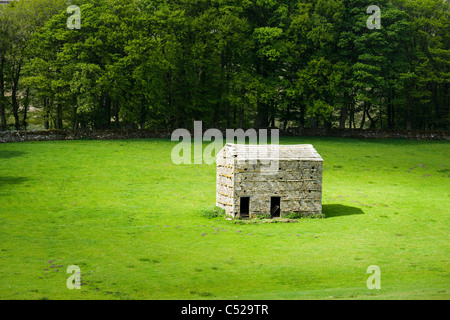 Fienile in campo, vicino Hawes, Yorkshire Dales National Park, Regno Unito Foto Stock