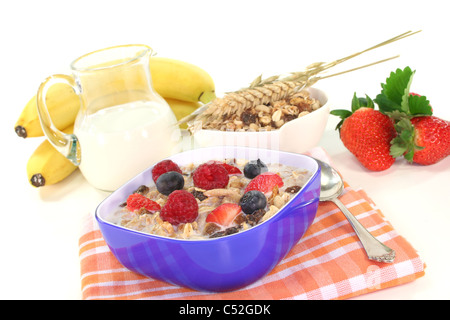 Ciotola di cereali con latte, frutta fresca e i dadi su sfondo bianco Foto Stock