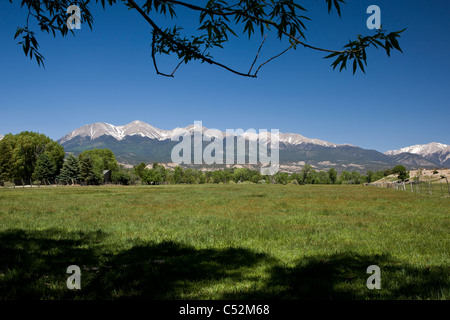 Montare Shavano durante l estate precoce con Angelo di Shavano snow drift in Chaffee County, Colorado. Foto Stock