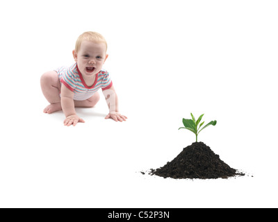 Una piccola bambina in direzione di una piantina Foto Stock