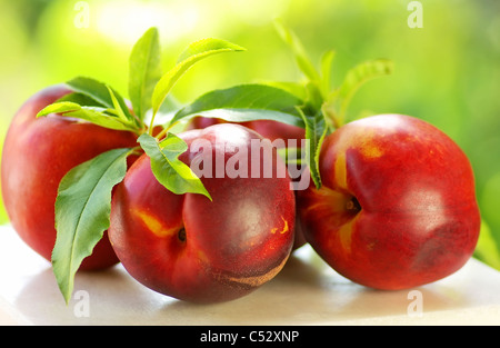 Peschi freschi frutti con foglie verdi su sfondo verde Foto Stock