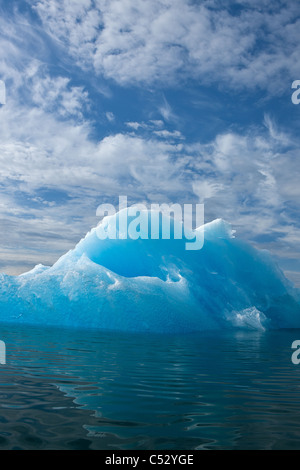 Iceberg galleggianti in Holkham Bay nei pressi dell'ingresso di Tracy Arm, Tongass National Forest, a sud-est di Alaska, estate Foto Stock