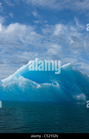 Iceberg galleggianti in Holkham Bay nei pressi dell'ingresso di Tracy Arm, Tongass National Forest, a sud-est di Alaska, estate Foto Stock