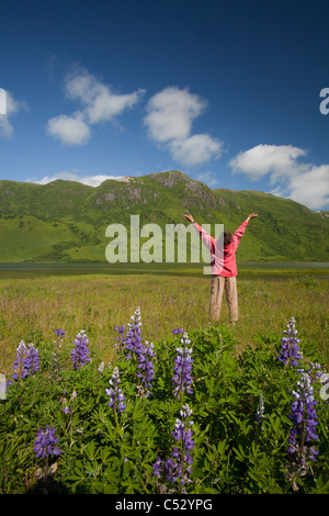 Donna tra Nootka Lupino vicino al lago LaRose Tead, Pasagshak Bay Road, Chiniak Bay, isola di Kodiak, Alaska Foto Stock