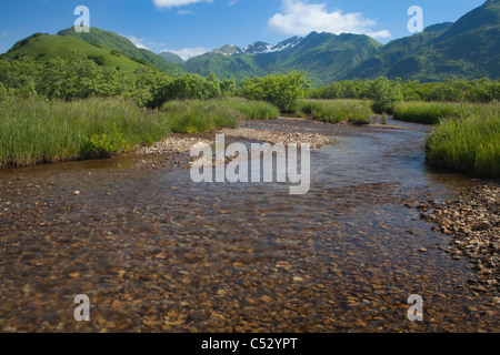 Vista panoramica di un flusso di salmone che sfocia nel lago di LaRose Tead vicino Pasagshak Bay Road, Chiniak Bay, isola di Kodiak, Alaska Foto Stock