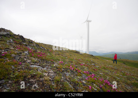 La donna vista montagna pilastro progetto eolico turbine eoliche sul pilastro montagna su un giorno nuvoloso, isola di Kodiak, Alaska Foto Stock