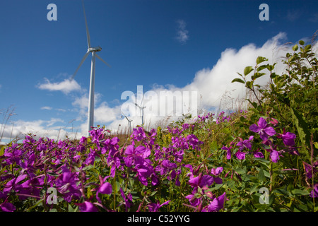 Le turbine eoliche sul pilastro montagna, Kodiak, Southwest Alaska, estate Foto Stock