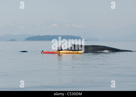 Humpback Whale superfici in prossimità di una donna kayaker di mare in Frederick Suono, all'interno di passaggio, a sud-est di Alaska, estate Foto Stock