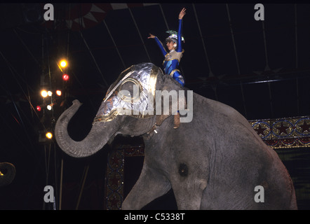 Esecuzione di animali in un circo viaggiante- giovane donna seduta su un elefante nell'anello Foto Stock