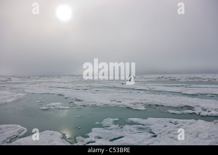 Inupiaq eschimese cacciatori trasportare un fucile e bastone mentre si cammina su Riva ghiaccio lungo il mare Chukchi, Barrow, Alaska Foto Stock