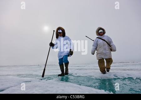 Inupiaq eschimese cacciatori trasportare un fucile e bastone mentre si cammina su Riva ghiaccio lungo il mare Chukchi, Barrow, Alaska Foto Stock