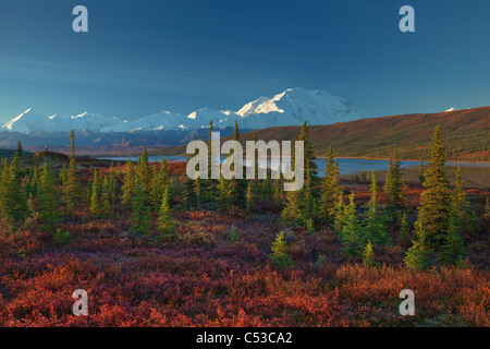 Scenario paesaggistico di Mt. McKinley e meraviglia il lago al mattino, Parco Nazionale di Denali, Interior Alaska, l'autunno. HDR Foto Stock