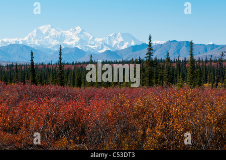 Vista panoramica del lato ovest di Mt. McKinley come si vede dai parchi autostrada, Parco Nazionale e Riserva di Denali, Alaska, Autunno Foto Stock