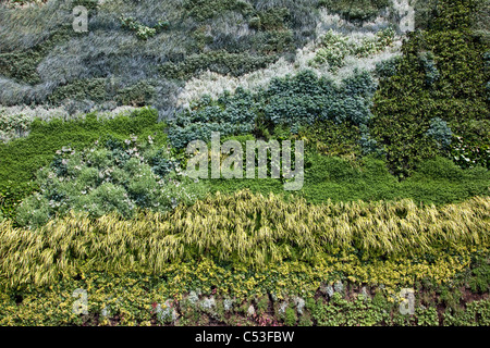 Pianta vivente "pittura" al di fuori di National Gallery di Londra, basato su Van Gogh Wheatfield con cipressi Foto Stock