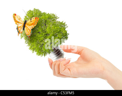 Mano trattiene albero verde nella lampadina. L'energia alternativa nozione Foto Stock