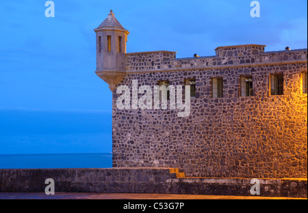 Mura fortificate del Plaza Europa, Puerto de la Cruz, Tenerife, Isole Canarie, Spagna, Europa Foto Stock