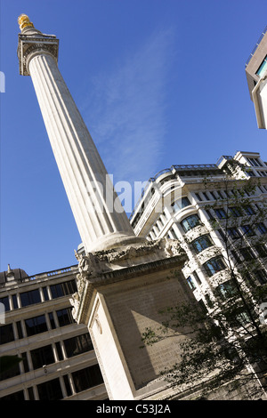 Il monumento situato nel pesce Street Hill nella città di Londra, che commemora il Grande Incendio di Londra.dipinge Foto Stock
