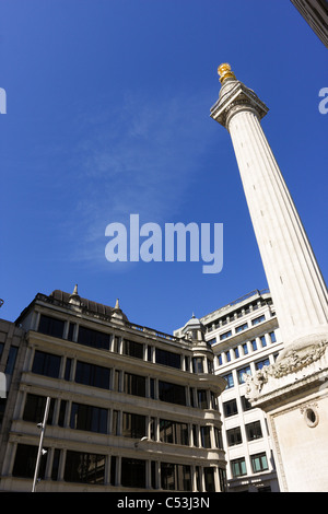 Il monumento situato nel pesce Street Hill nella città di Londra, che commemora il Grande Incendio di Londra.dipinge Foto Stock