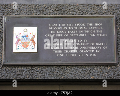 Il monumento situato nel pesce Street Hill nella città di Londra, che commemora il Grande Incendio di Londra.dipinge Foto Stock