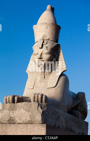 Sphinx da Neva, San Pietroburgo, Russia Foto Stock