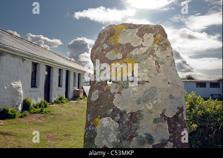 Il lichen coperto pietra davanti all'abitazione su Skokholm island Pembrokeshire South Wales UK. Foto Stock