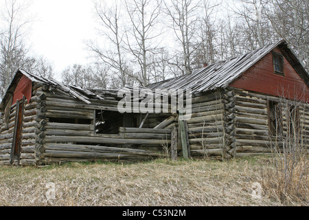 Vecchi log abbandonato casa di campagna circondata da alberi e campi coltivati. tetto ceduto e crolli di pareti . Foto Stock