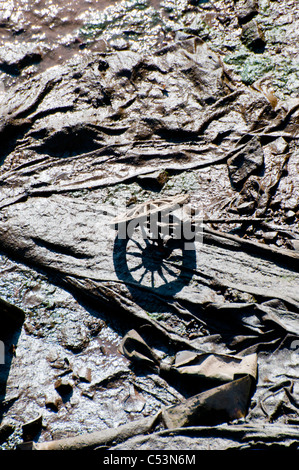 Flotsam trovati sulle rive del fiume Clyde. Foto Stock