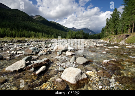 La natura del paesaggio. Flusso di fiume di montagna Shumak. La Siberia. Oriente Sayan montagne. Repubblica dei Buriati. La Russia. Foto Stock