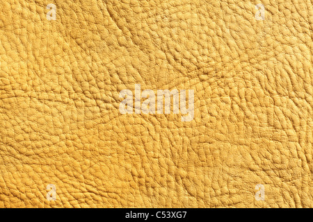 Un primo piano immagine della pelle di alce, adatto per una texture di sfondo Foto Stock
