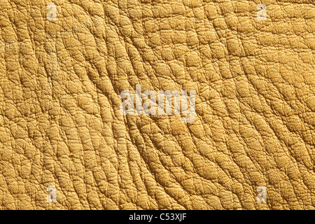 Un primo piano immagine della pelle di alce, adatto per una texture di sfondo Foto Stock