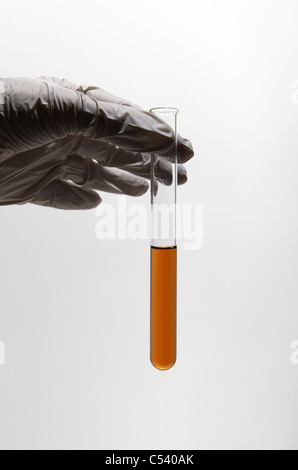 Mano che indossa un guanto in nitrile viene in possesso di una provetta riempita con liquido colorato. Foto Stock