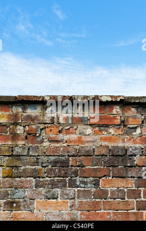 Giardino vecchio muro di mattoni contro un blu cielo nuvoloso Foto Stock