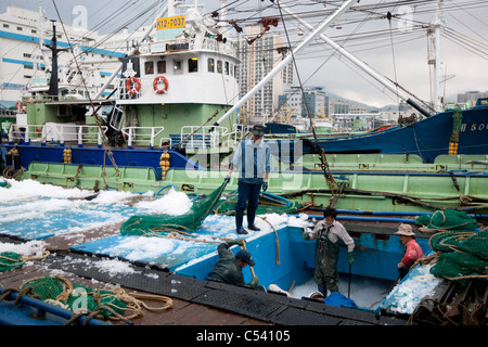 Commercio all'ingrosso mercato del pesce di Busan/ Pusan, Corea del Sud. Foto Stock