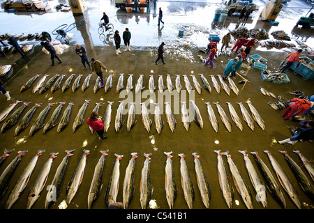 Mercato del pesce di Kesennuma City, Miyage-ken, Giappone. Foto Stock