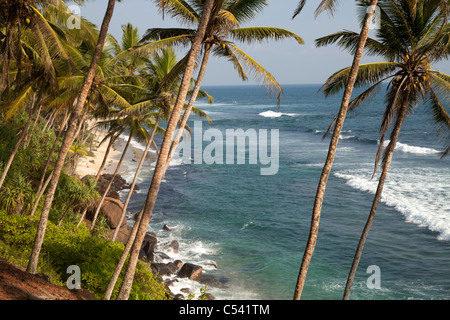La spiaggia e la costa vicino a Mirissa, Sri Lanka Foto Stock