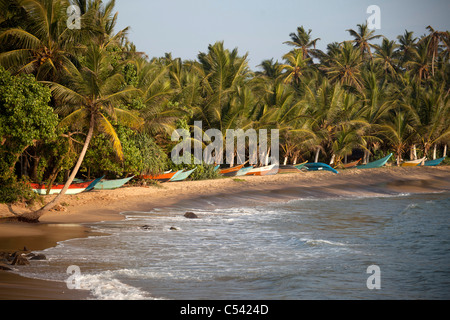 Barche da pesca in una spiaggia da sogno in Mirissa, Sri Lanka Foto Stock