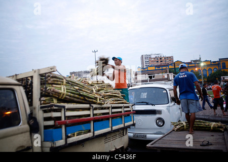 La ver-O-PESO ("Verificare il peso") mercato a Belem, Brasil. Foto Stock