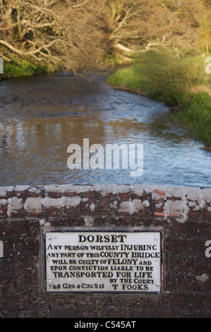 Un segno sul ponte sopra il fiume Frome a Bockhampton inferiore, mette in guardia contro le conseguenze della "volontariamente il ferimento di qualsiasi parte". Foto Stock