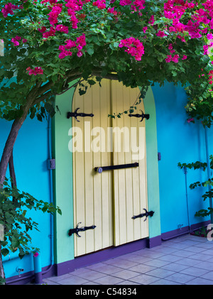 Memorizzare le porte anteriori con Bouganvilla. San Giovanni. Vergine Slands Foto Stock