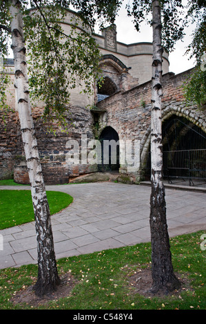 Ingresso al castello di Nottingham con argento di betulle in primo piano. Costruito nel 1068 da Guglielmo il Conquistatore Foto Stock