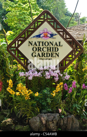 National Orchid Garden, Singapore Botanic Gardens, Singapore, Sud-est asiatico, in Asia Foto Stock