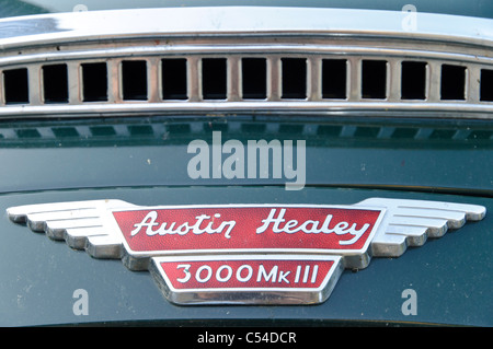 Dettaglio di un 3000 Austin Healey Mk III Foto Stock