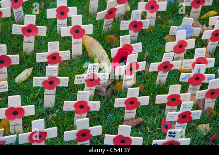 Campo di ricordo con papaveri rossi su croci di legno, Winchester, Hampshire, Inghilterra, Regno Unito Foto Stock